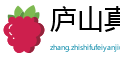 庐山真面目网